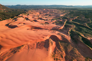 Coral Pink Sand Dunes