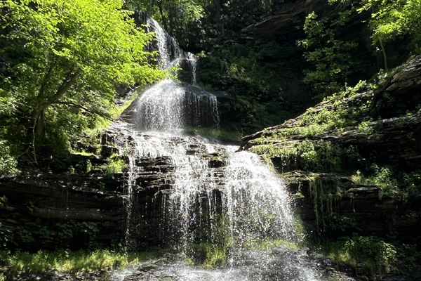 cathedral-falls-wv